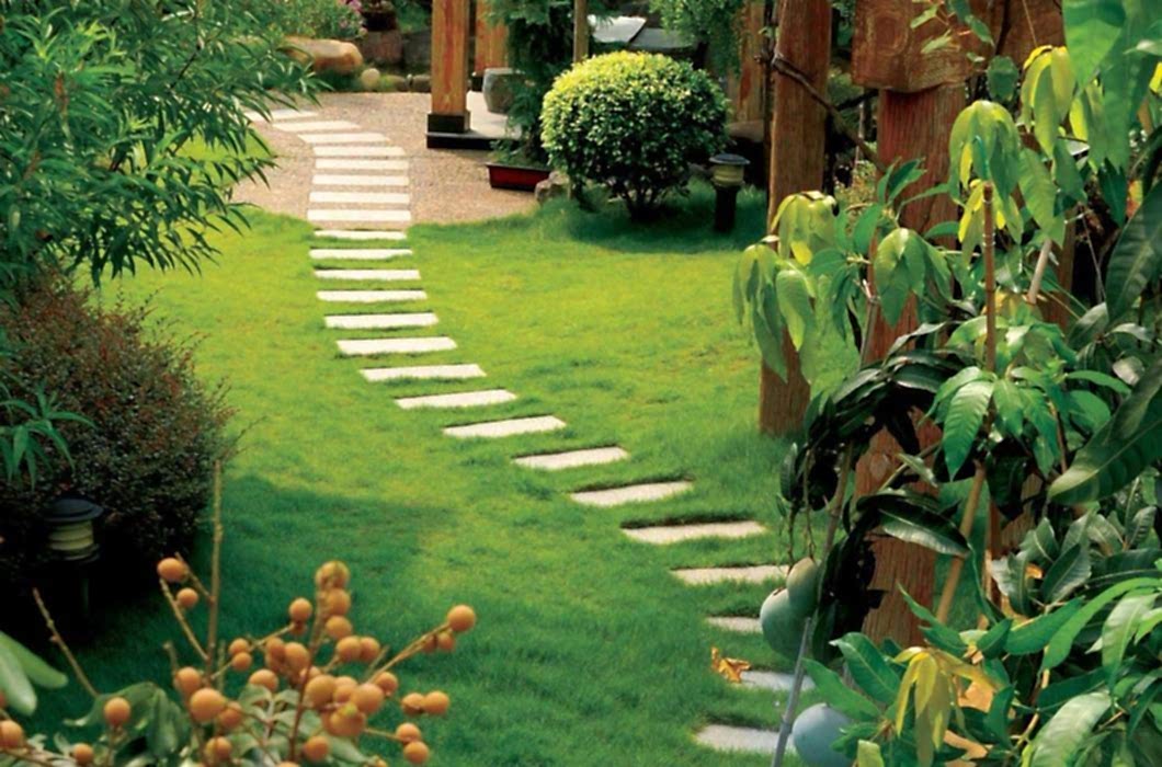 Bitkisel Peyzaj Uygulamaları